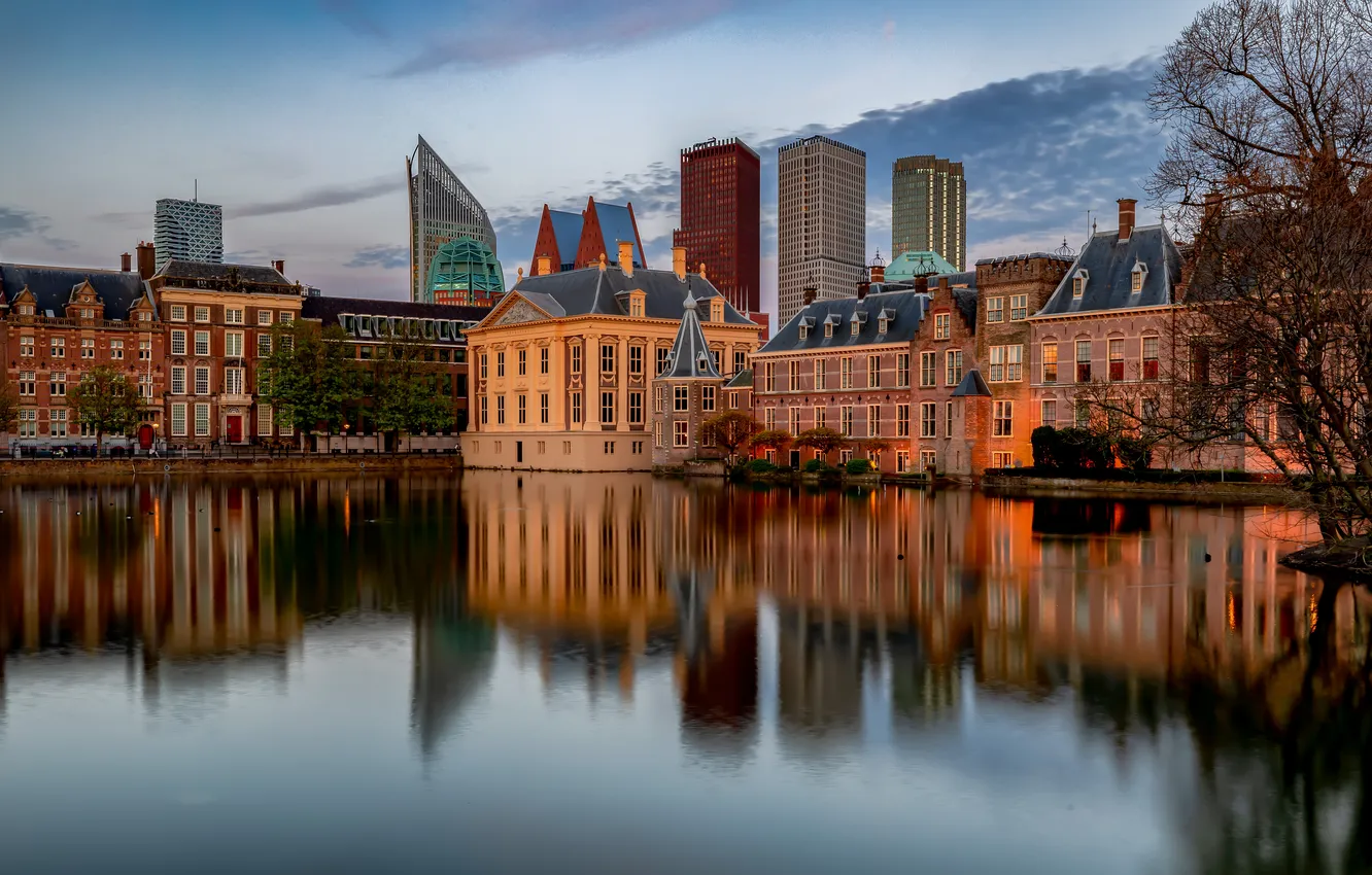 Photo wallpaper pond, reflection, home, Netherlands, The Hague