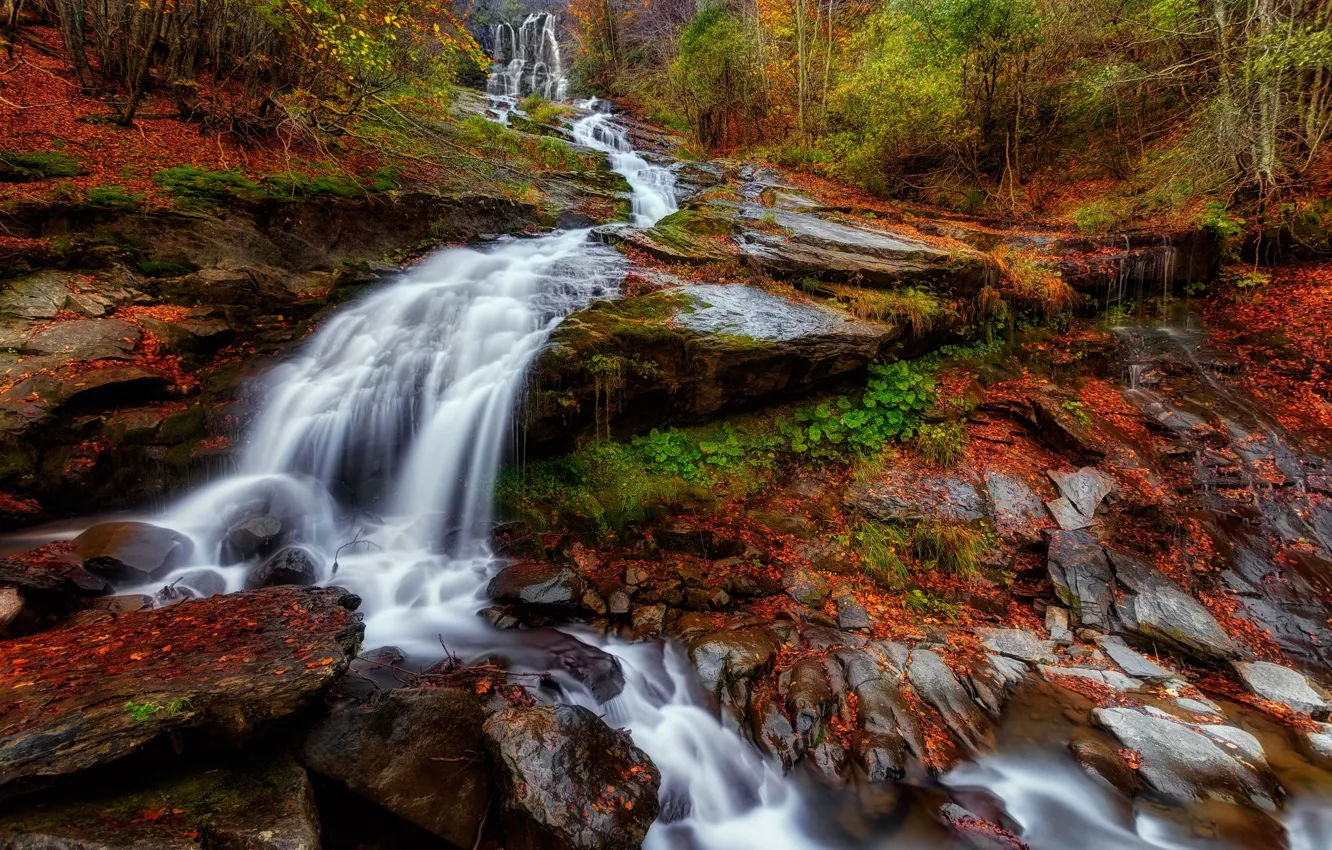 Photo wallpaper autumn, forest, leaves, nature, river, waterfall