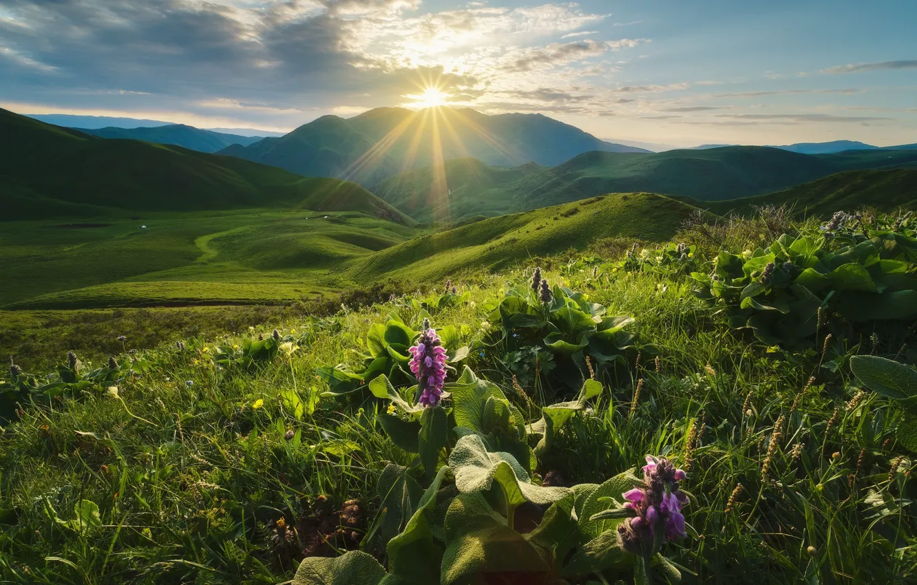 Photo wallpaper the sun, rays, landscape, mountains, nature, dawn, hills, morning