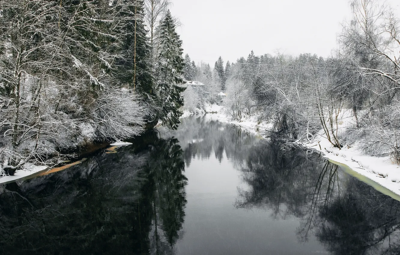 Photo wallpaper winter, forest, snow, landscape, nature, river, Bank