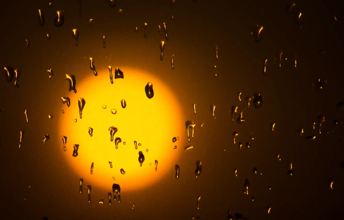 Photo wallpaper glass, water, the sun, drops