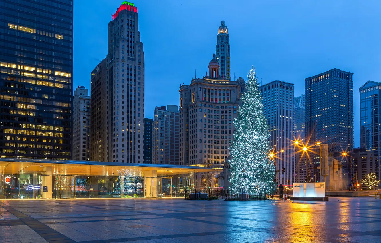 Photo wallpaper lights, building, tree, new year, home, skyscrapers, the evening, area