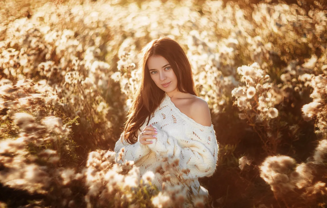 Photo wallpaper look, girl, blur, meadow, Pauline, Vladislav Opletaev