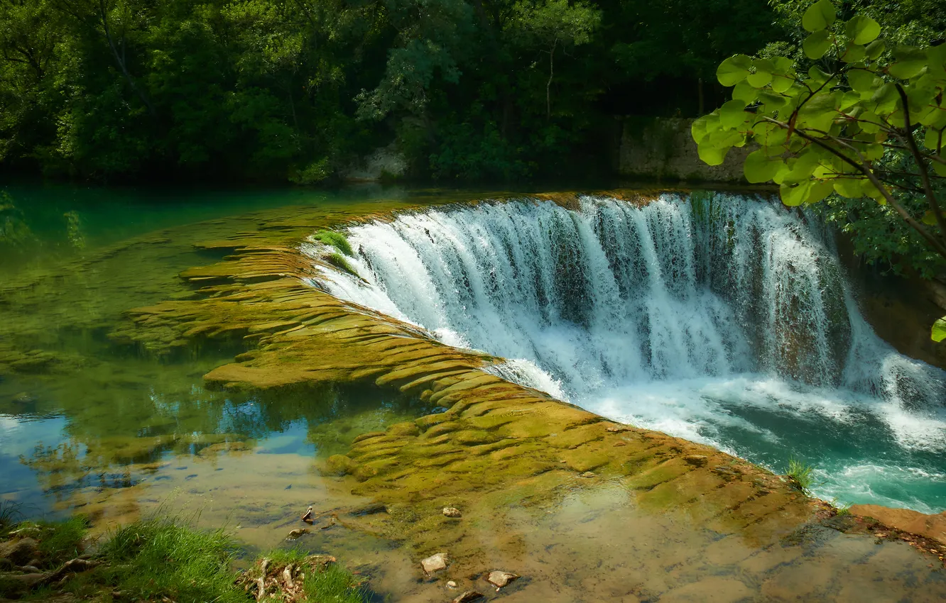 Photo wallpaper forest, leaves, branches, stones, shore, waterfall, stream, the bottom