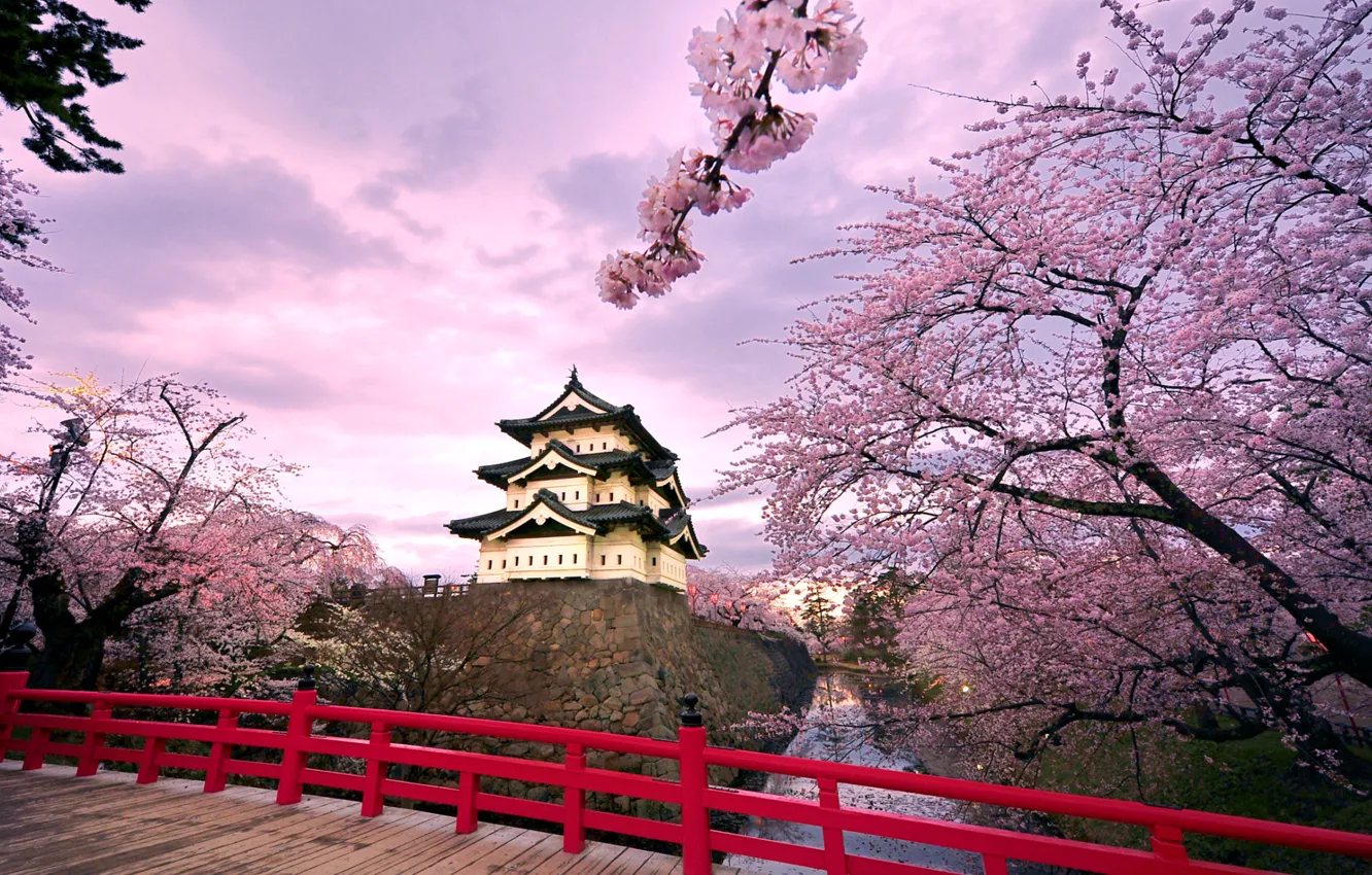 Photo wallpaper the sky, clouds, trees, bridge, pond, castle, Japan, Sakura