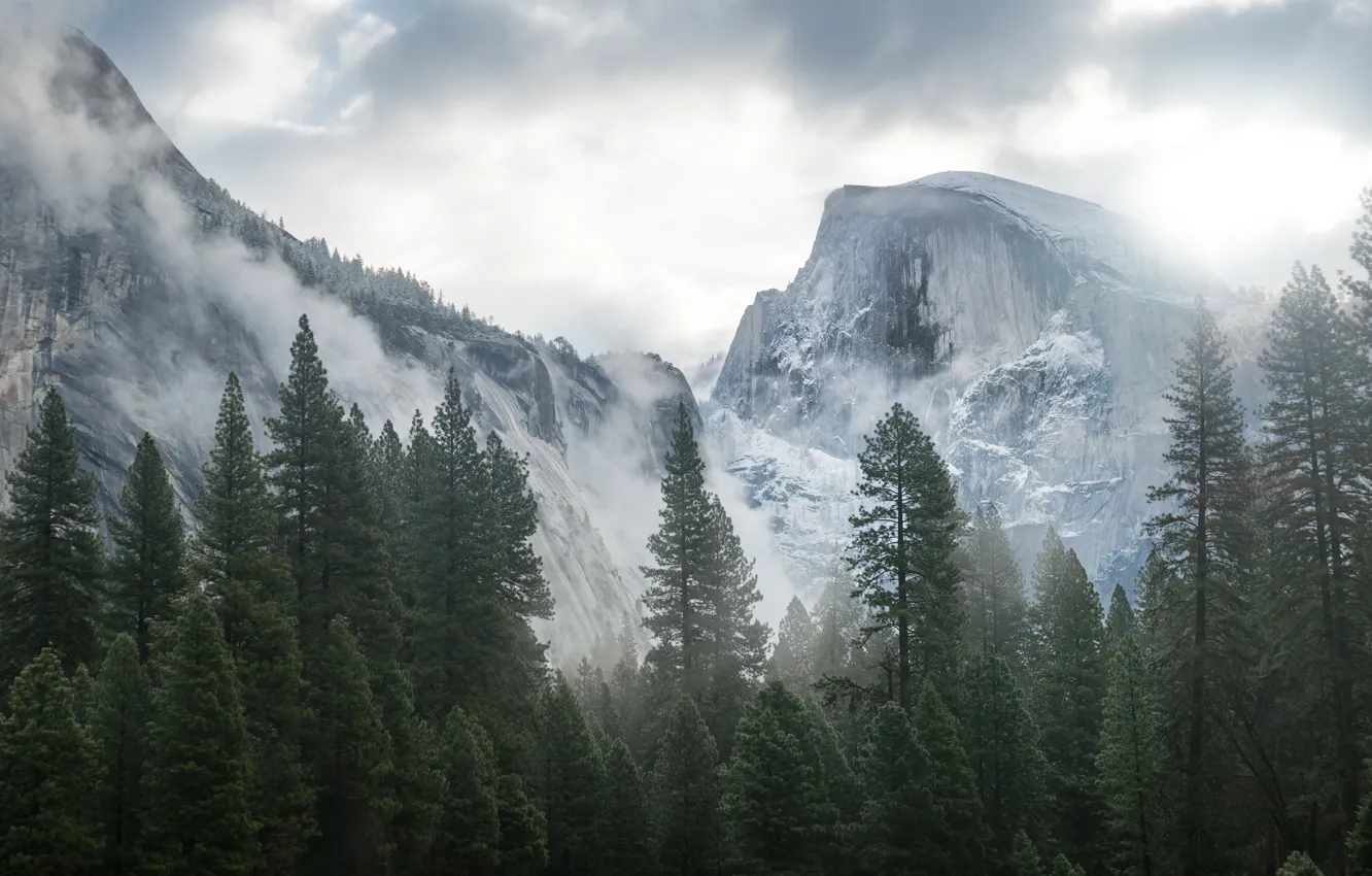 Photo wallpaper forest, mountains, apple, mac, Yosemite