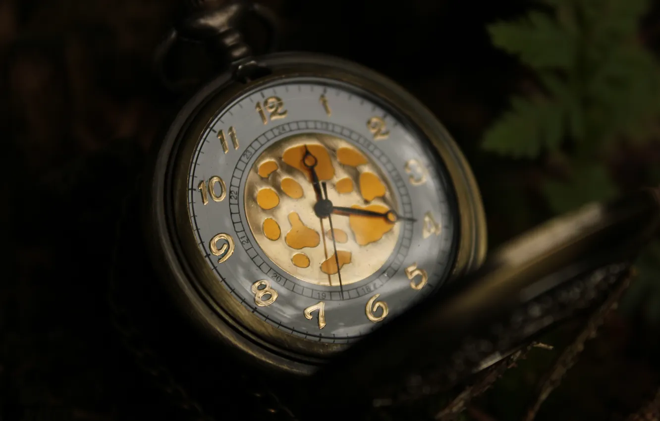 Photo wallpaper arrows, watch, figures