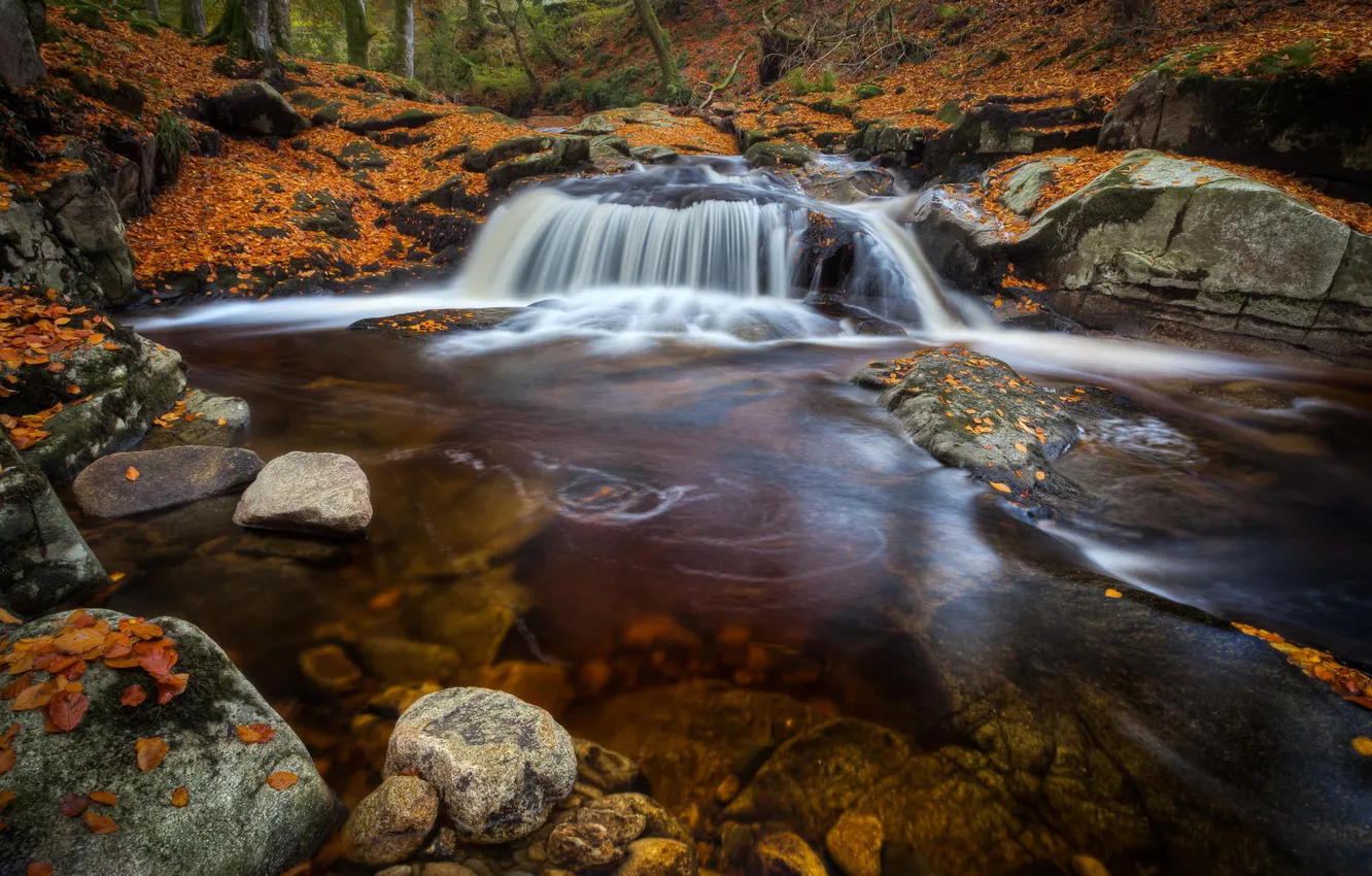 Photo wallpaper autumn, forest, landscape, nature, river, waterfall