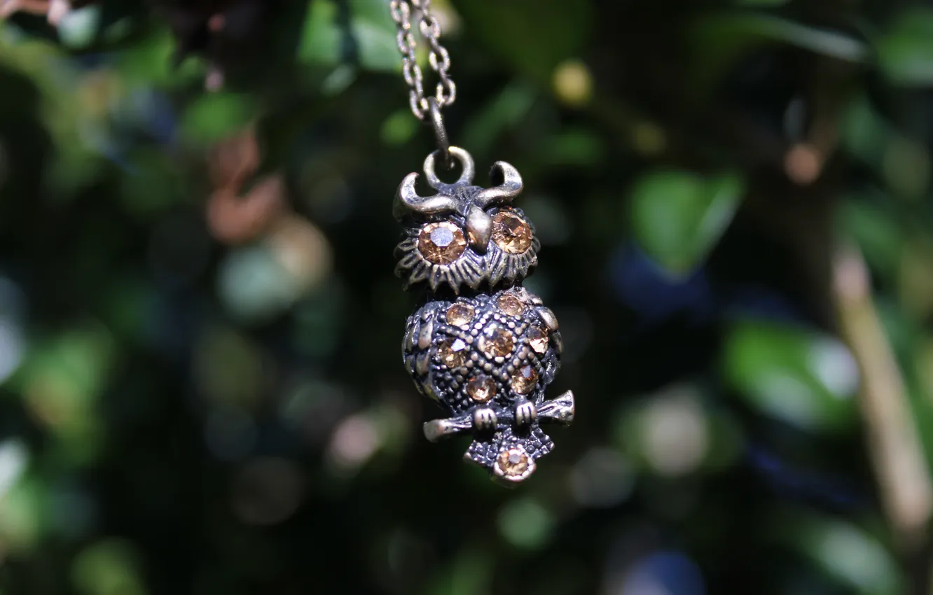 Photo wallpaper leaves, decoration, owl, pendant