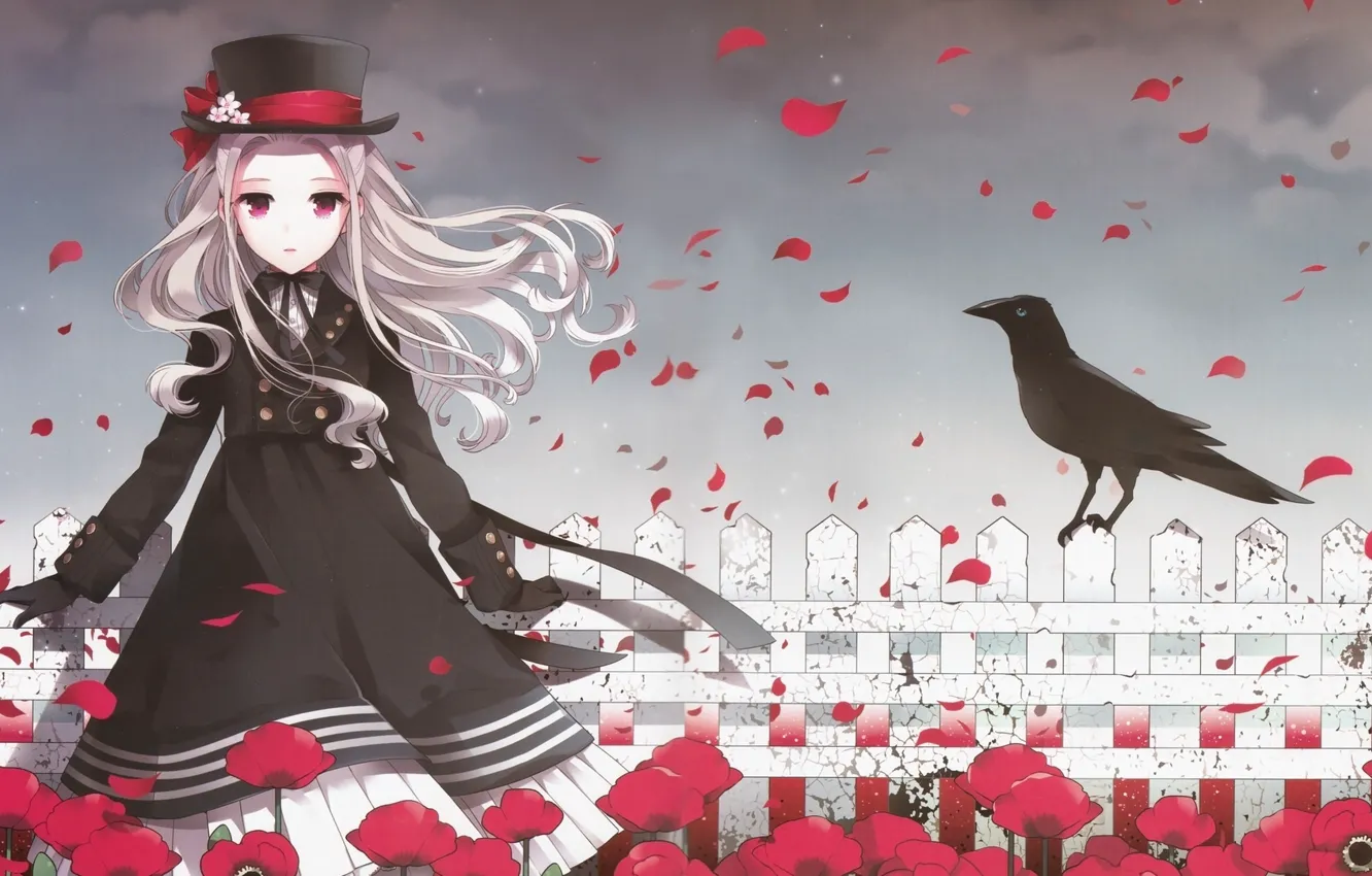 Photo wallpaper girl, flowers, the fence, crow