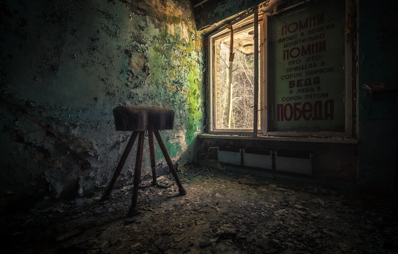 Photo wallpaper room, horse, window