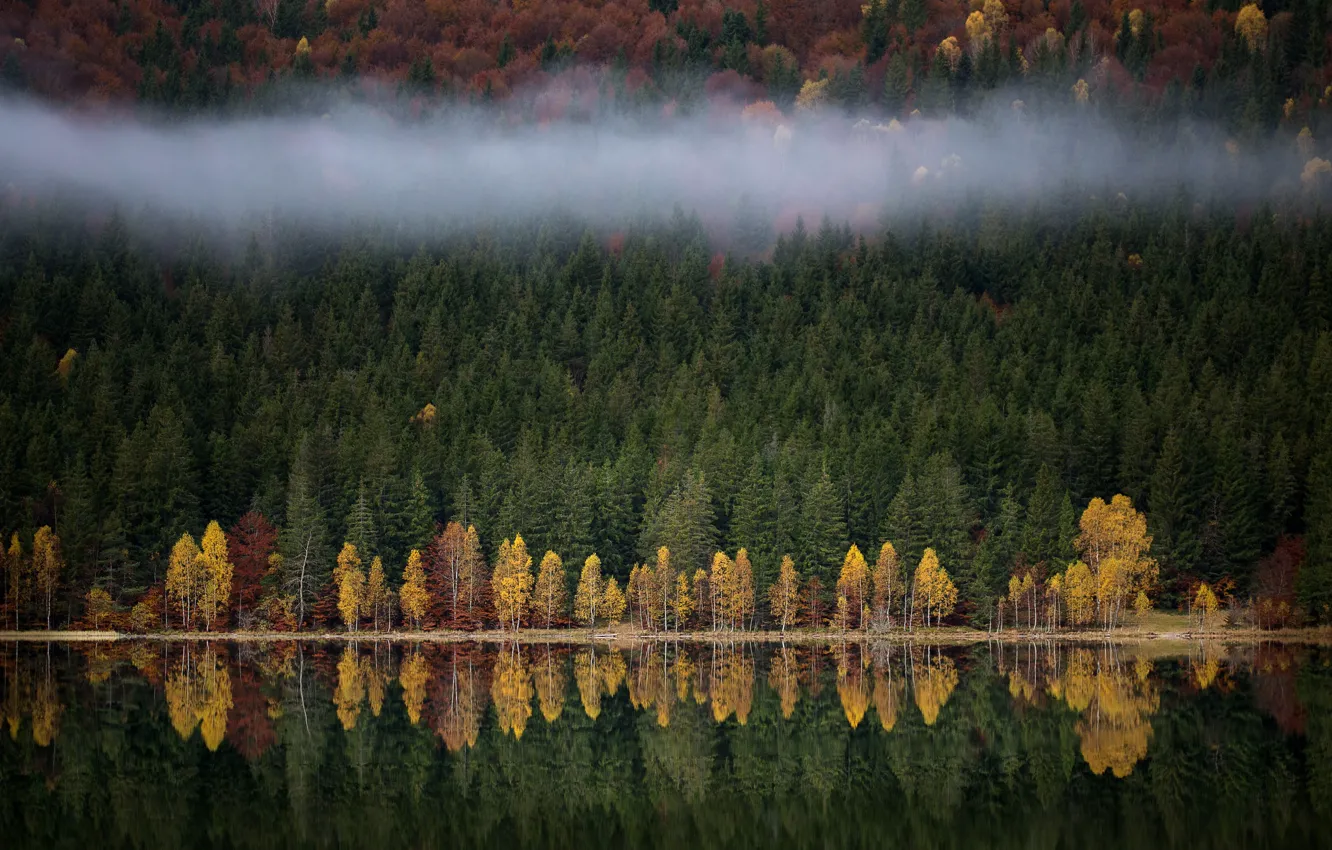 Photo wallpaper autumn, forest, nature, fog, lake, river