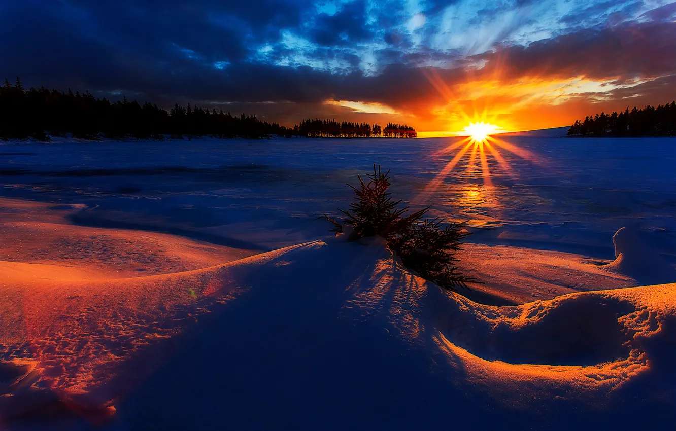 Photo wallpaper winter, the sun, dawn