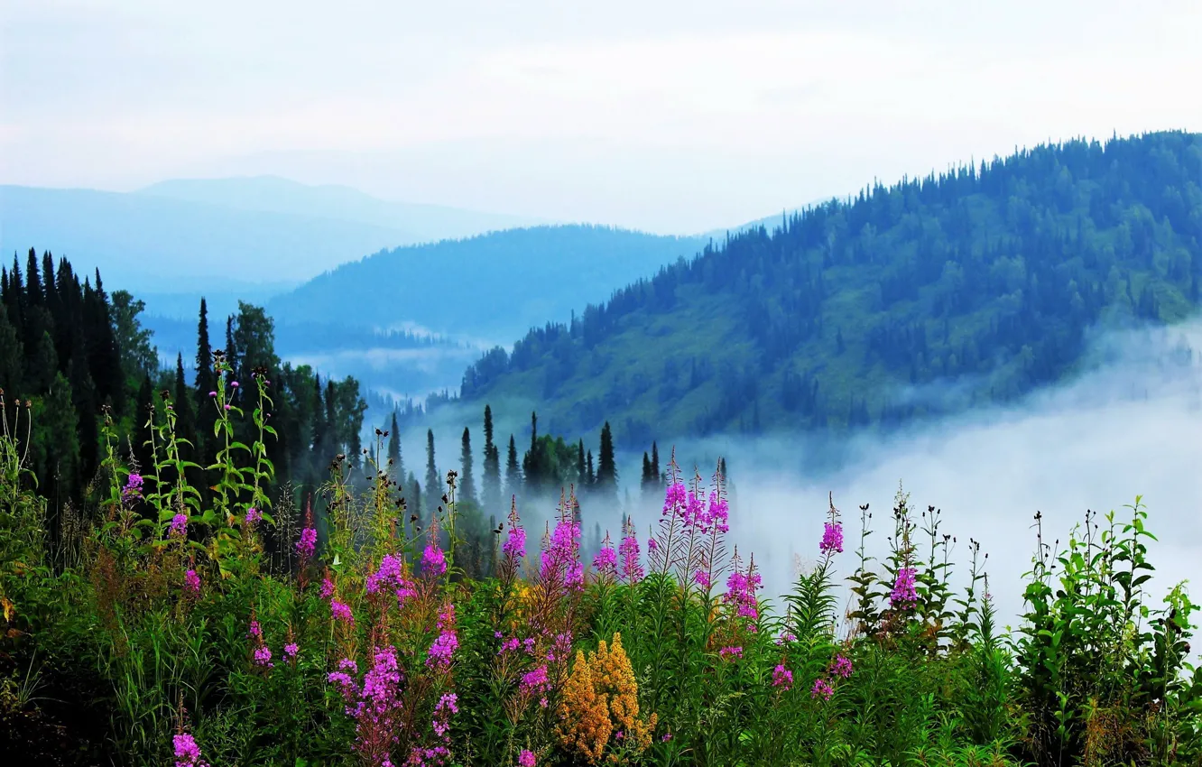 Photo wallpaper Russia, Altay, Siberia