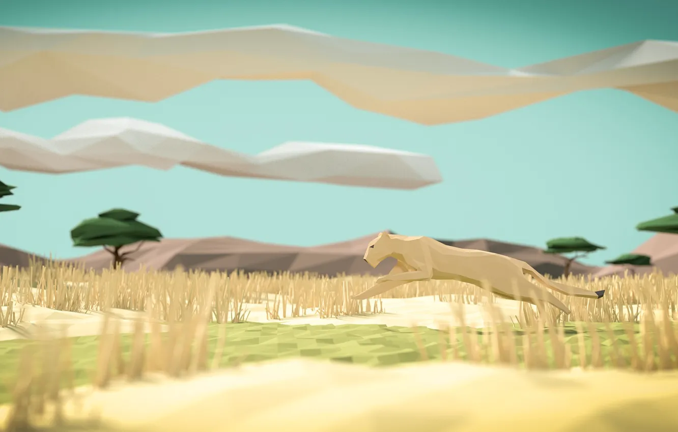 Photo wallpaper cat, the sky, figure, Panther, Savannah, geometry