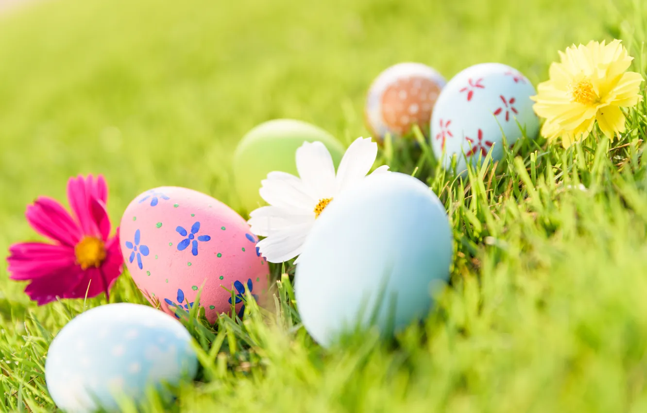 Photo wallpaper grass, flowers, eggs, Easter, flowers, Easter, eggs, decoration