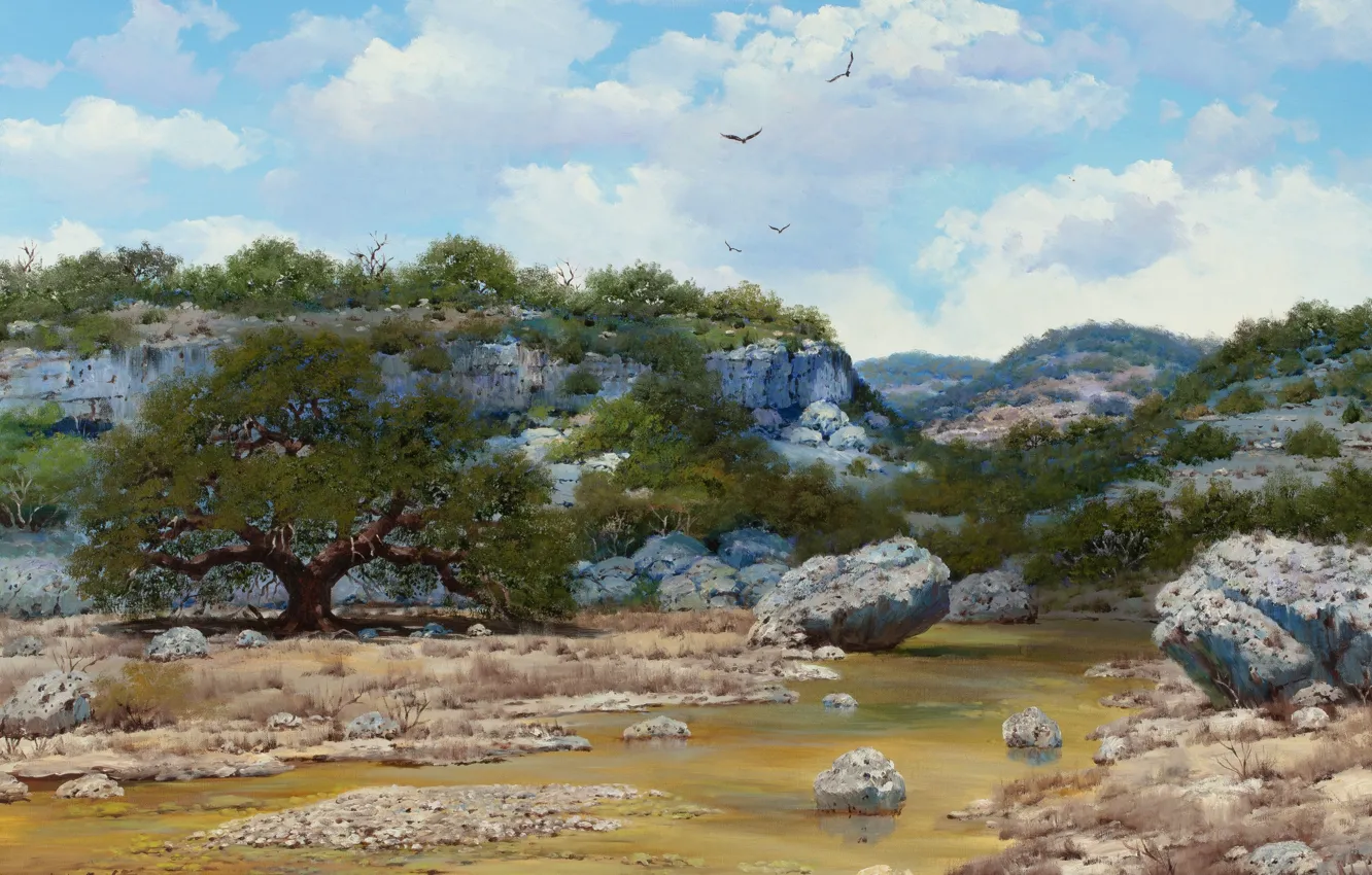Photo wallpaper trees, nature, river, stones, William Slaughter