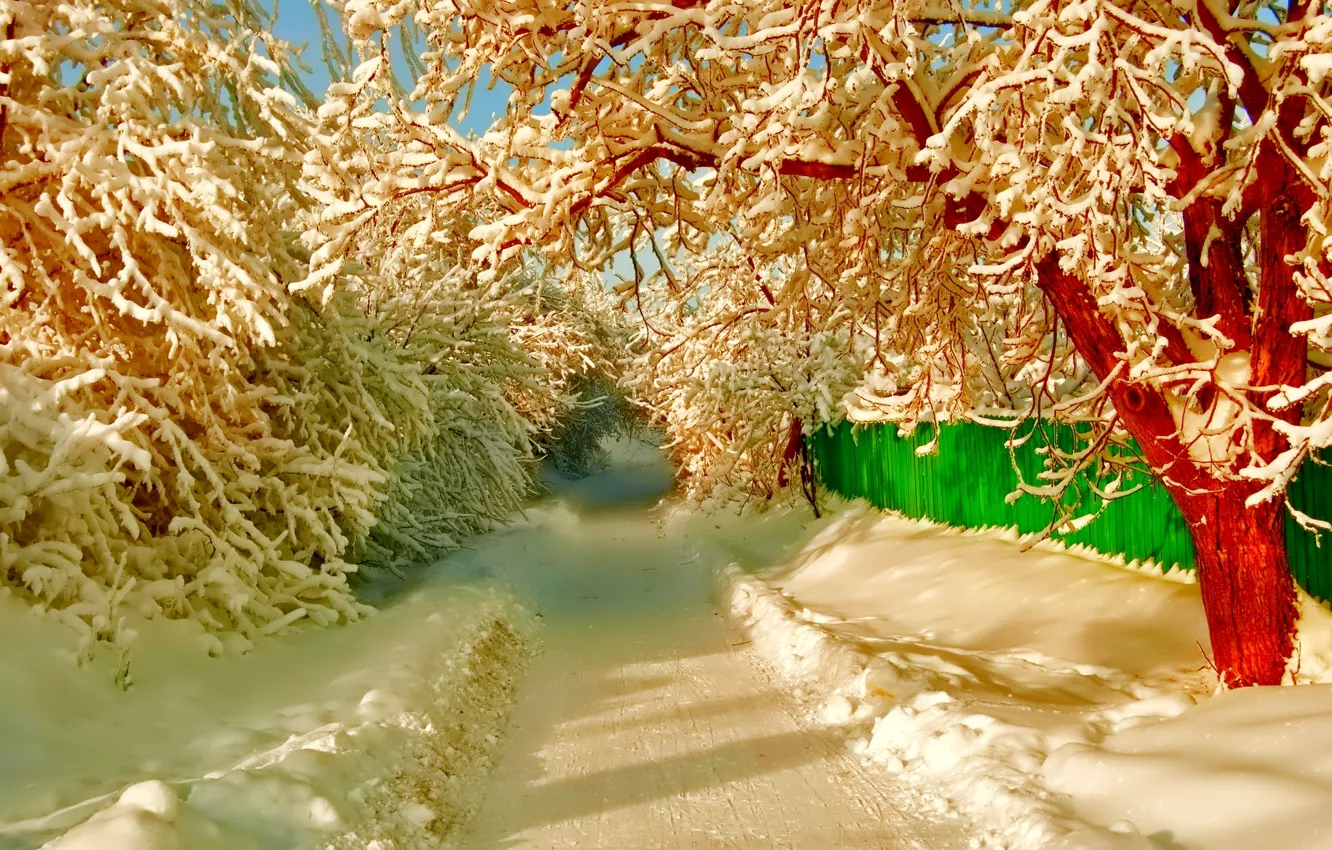 Photo wallpaper winter, road, snow, trees, street, the fence