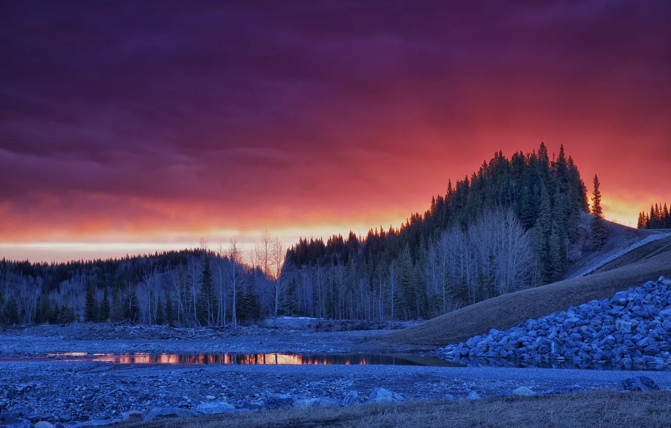 Photo wallpaper the sky, water, clouds, trees, stones, glow