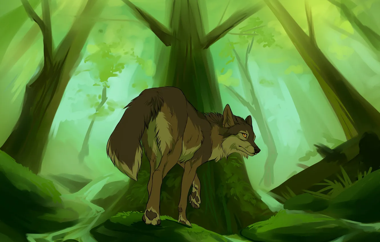 Photo wallpaper forest, grass, trees, wolf, brook