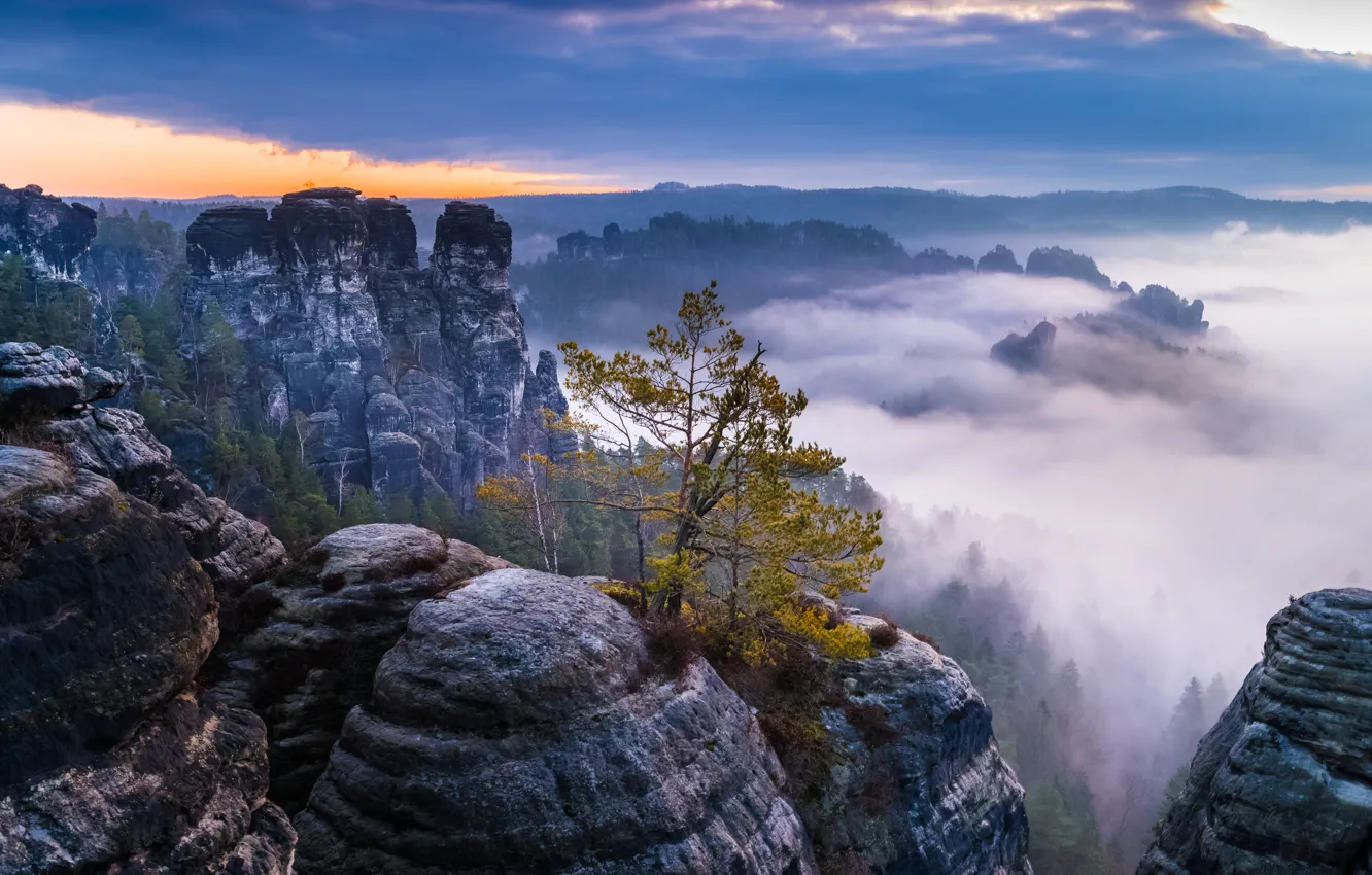 Photo wallpaper fog, rocks, Germany, Saxony