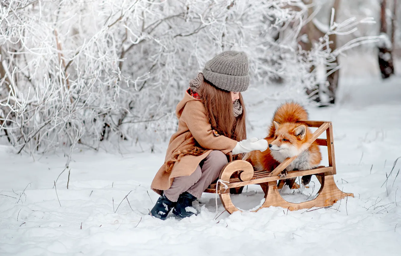 Photo wallpaper winter, snow, mood, Fox, girl, red, friends, sled