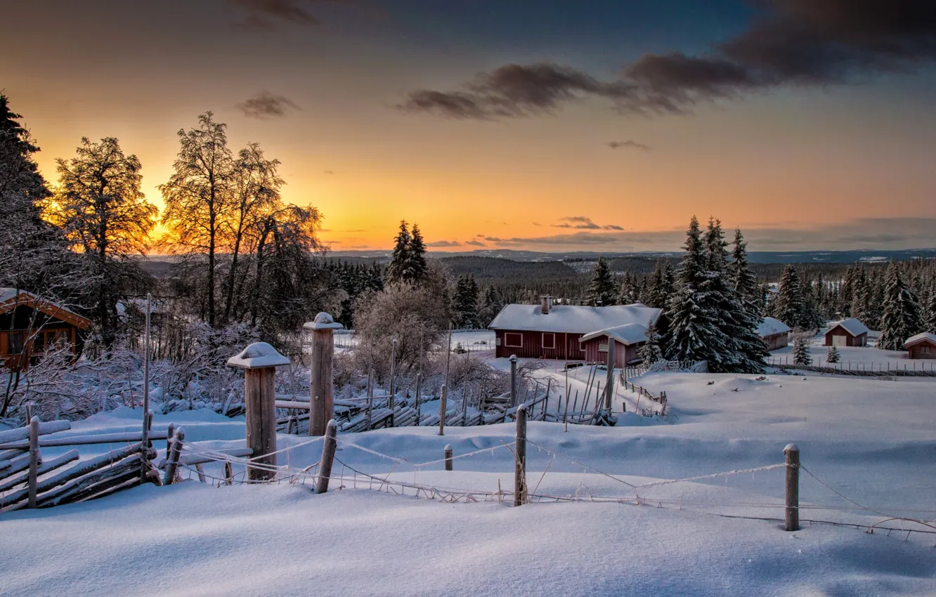 Photo wallpaper winter, forest, nature, Norway, Norway, Lillehammer