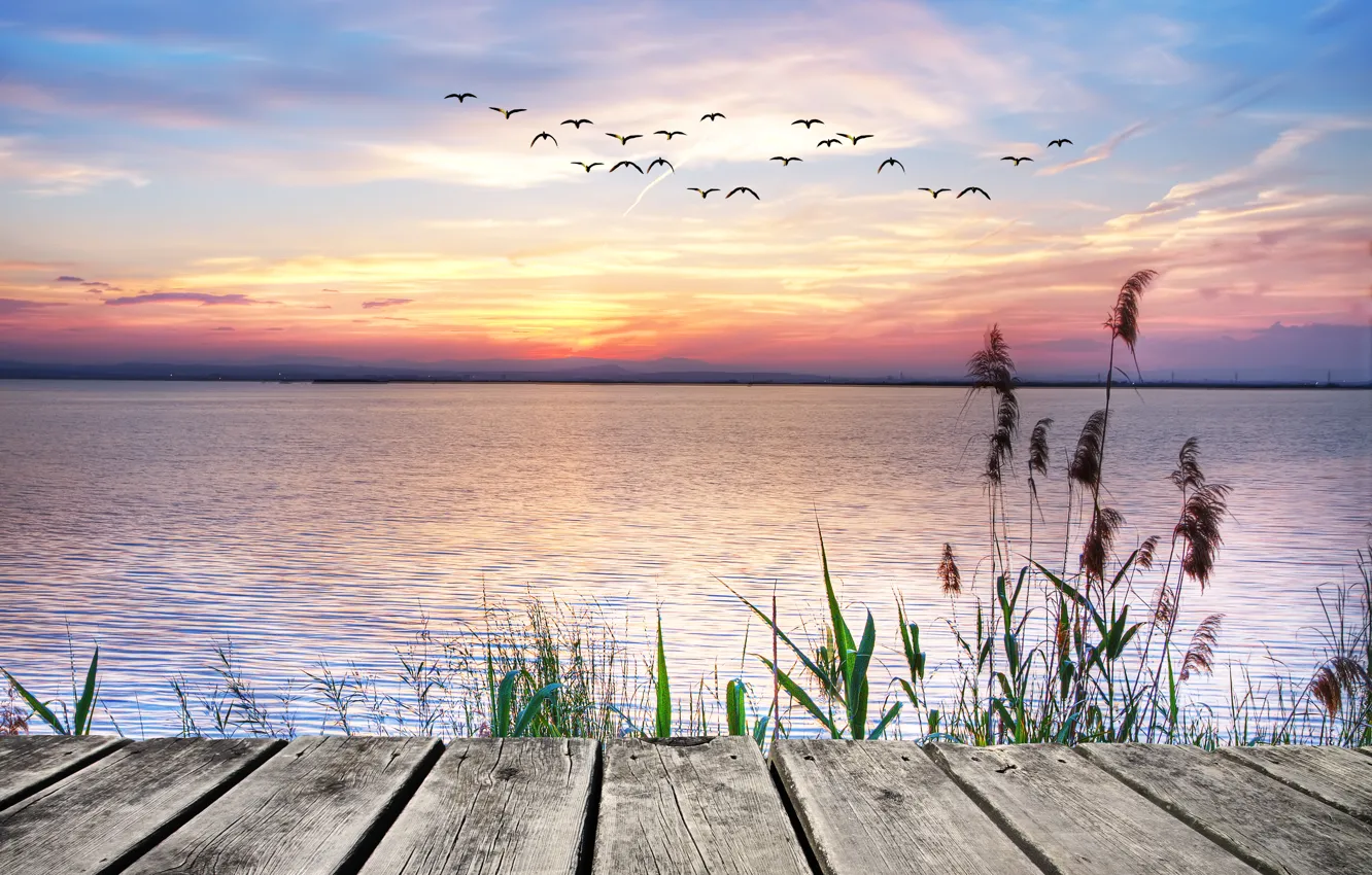 Photo wallpaper sunset, lake, seagulls, landscape, sunset, lake