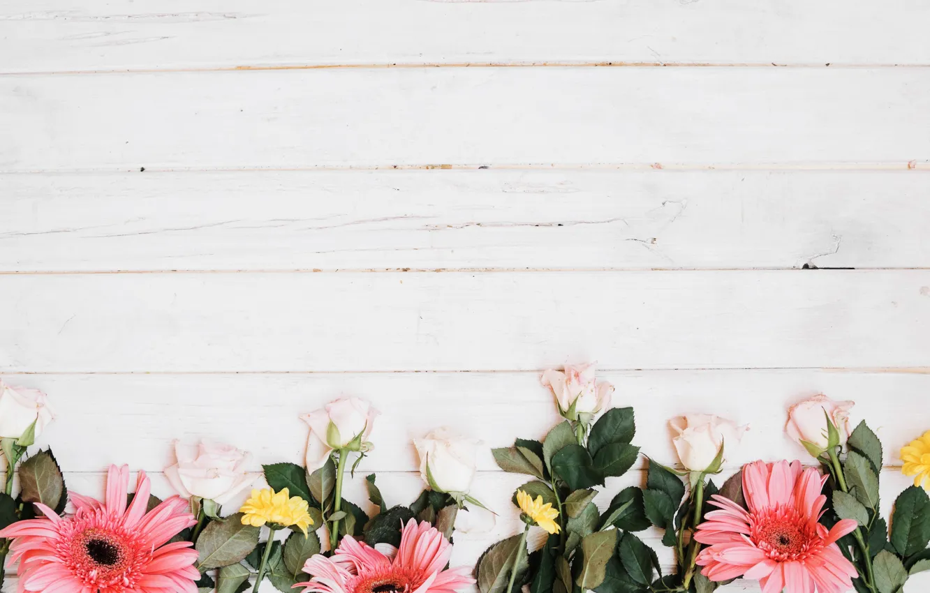 Photo wallpaper flowers, background, roses, gerbera, chrysanthemum