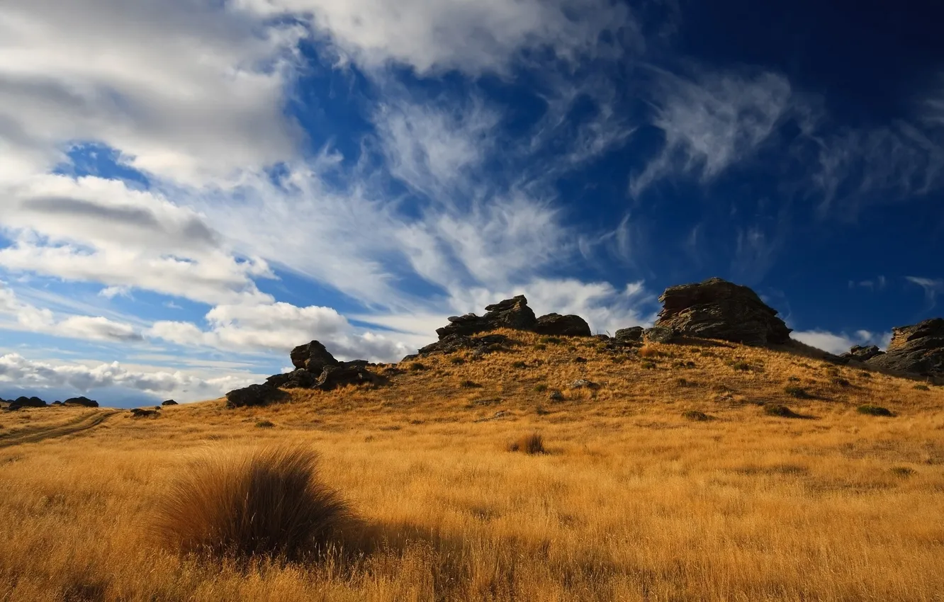Photo wallpaper field, the sky, grass, landscape, nature, stones, hills, plant