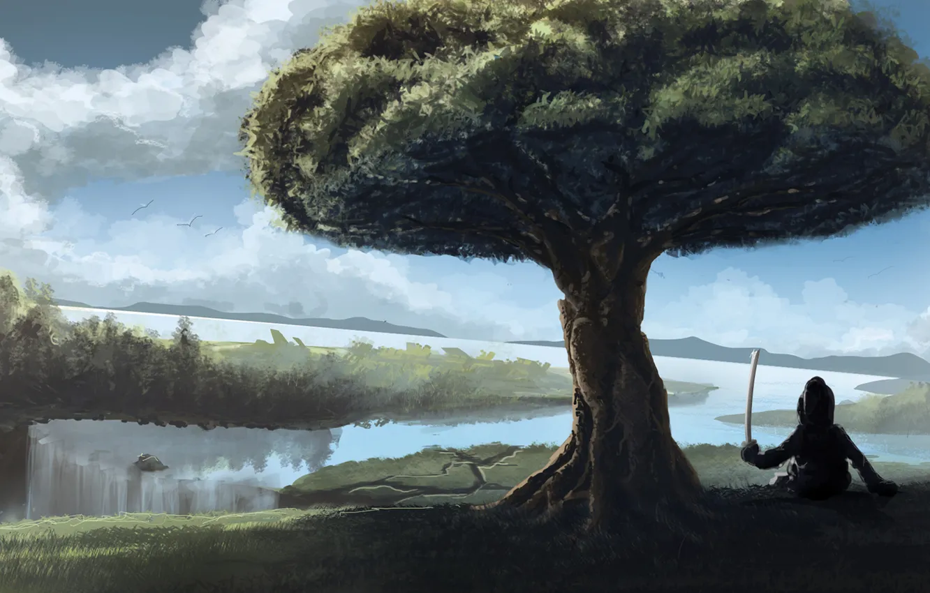 Photo wallpaper trees, landscape, Creator