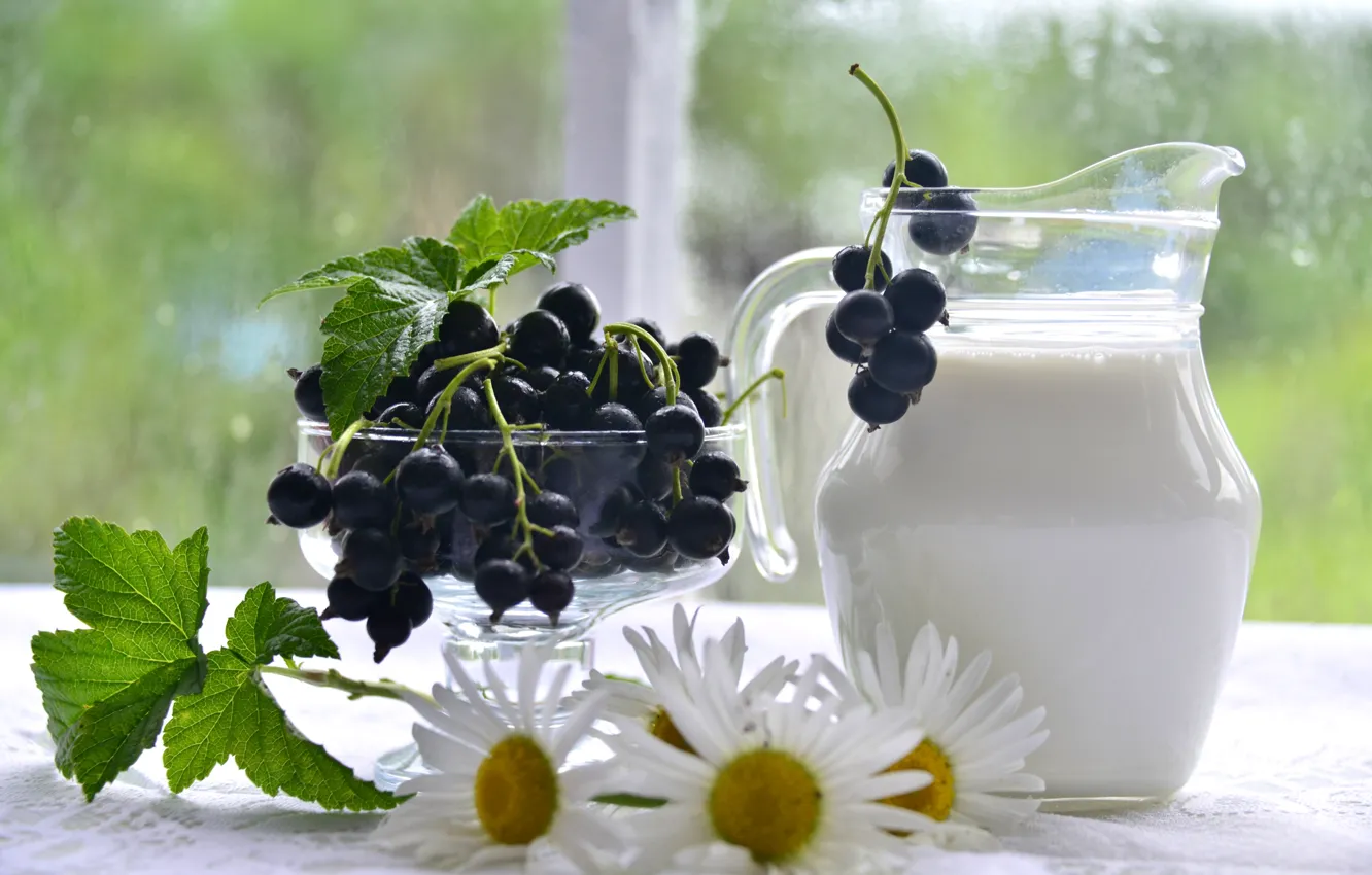 Photo wallpaper summer, chamomile, milk, pitcher, currants