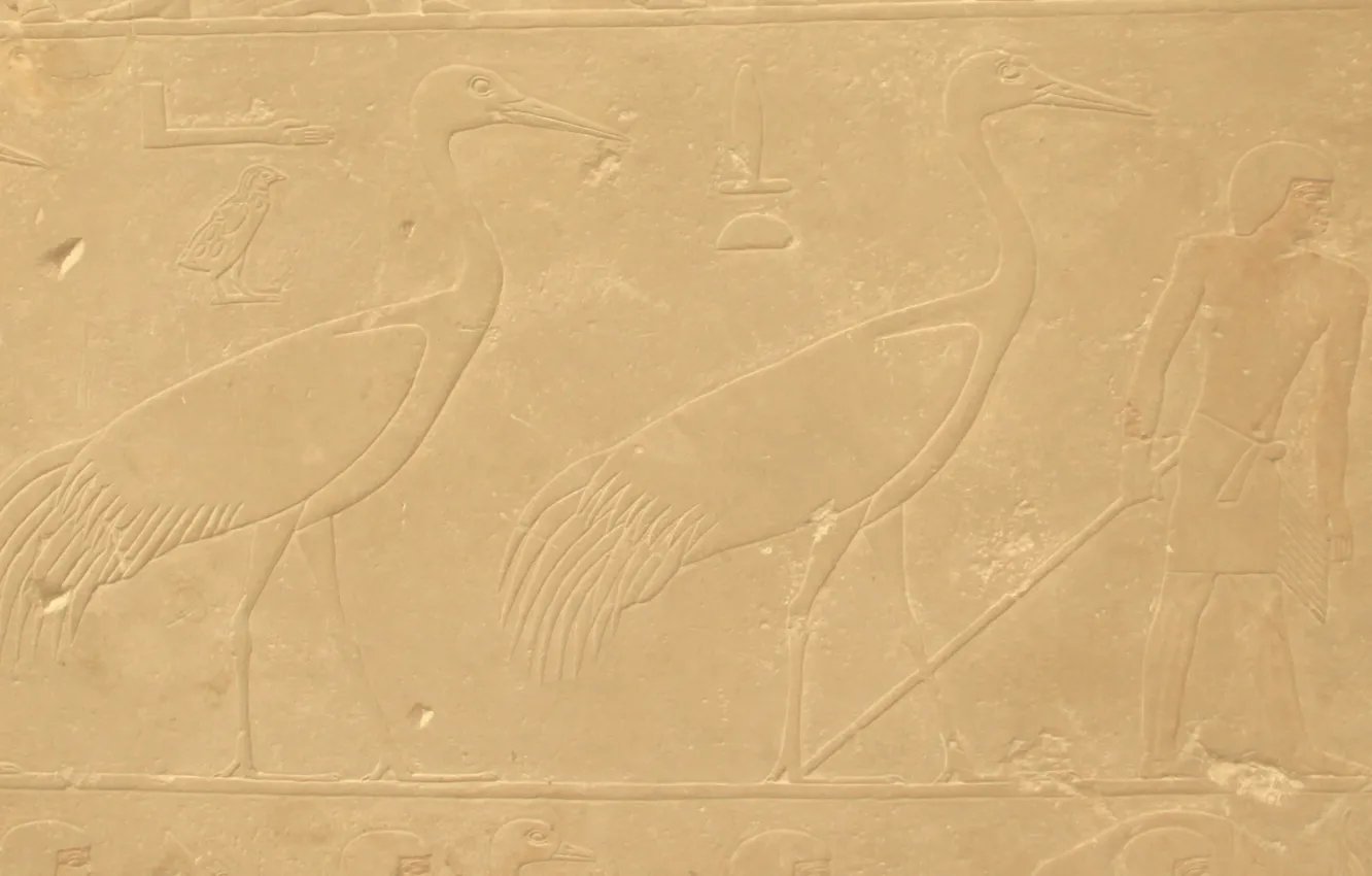 Photo wallpaper bird, stone, people, texture, symbol, Egypt, profile, bird