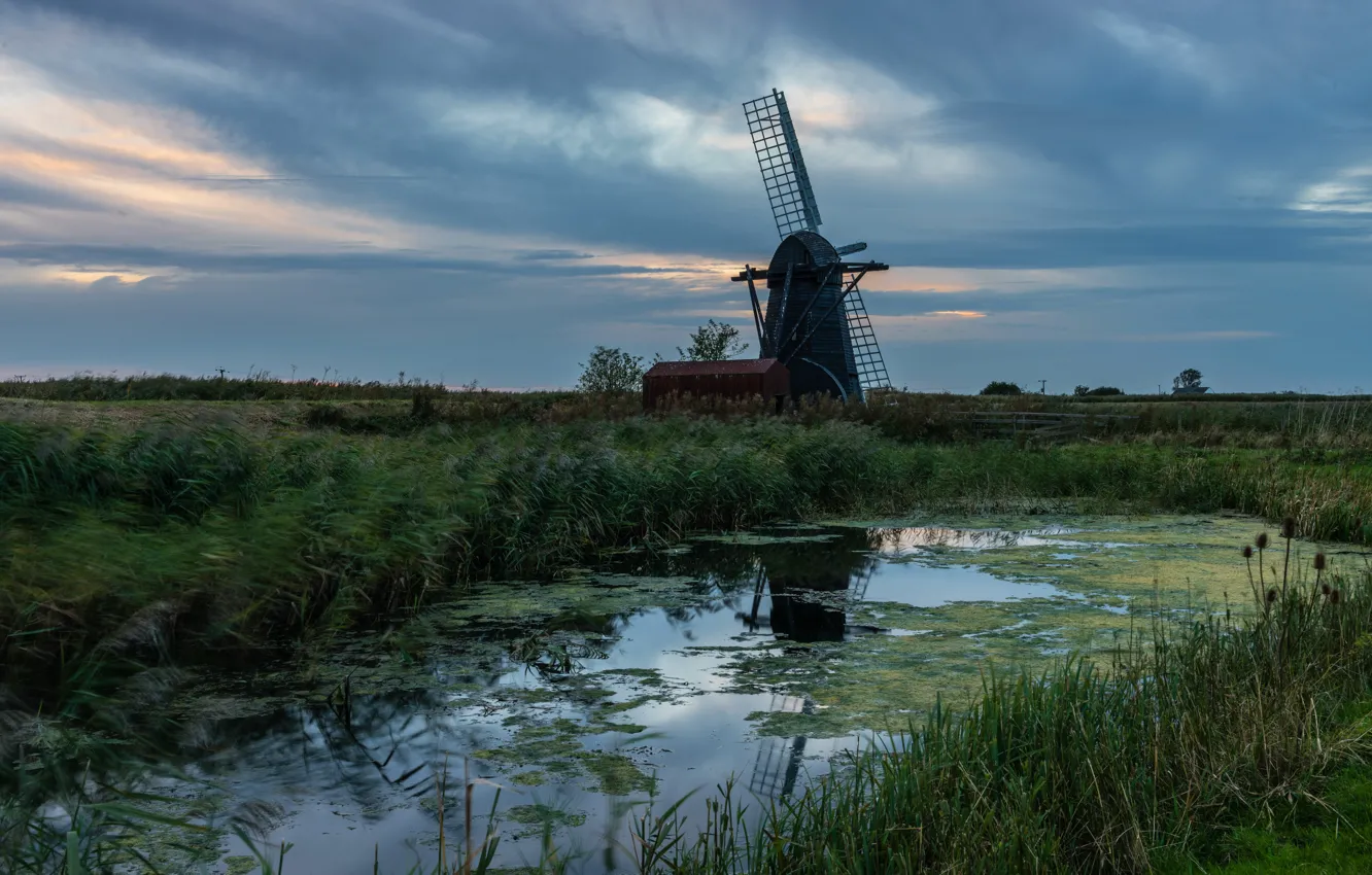 Photo wallpaper field, summer, the sky, grass, pond, overcast, shore, glade