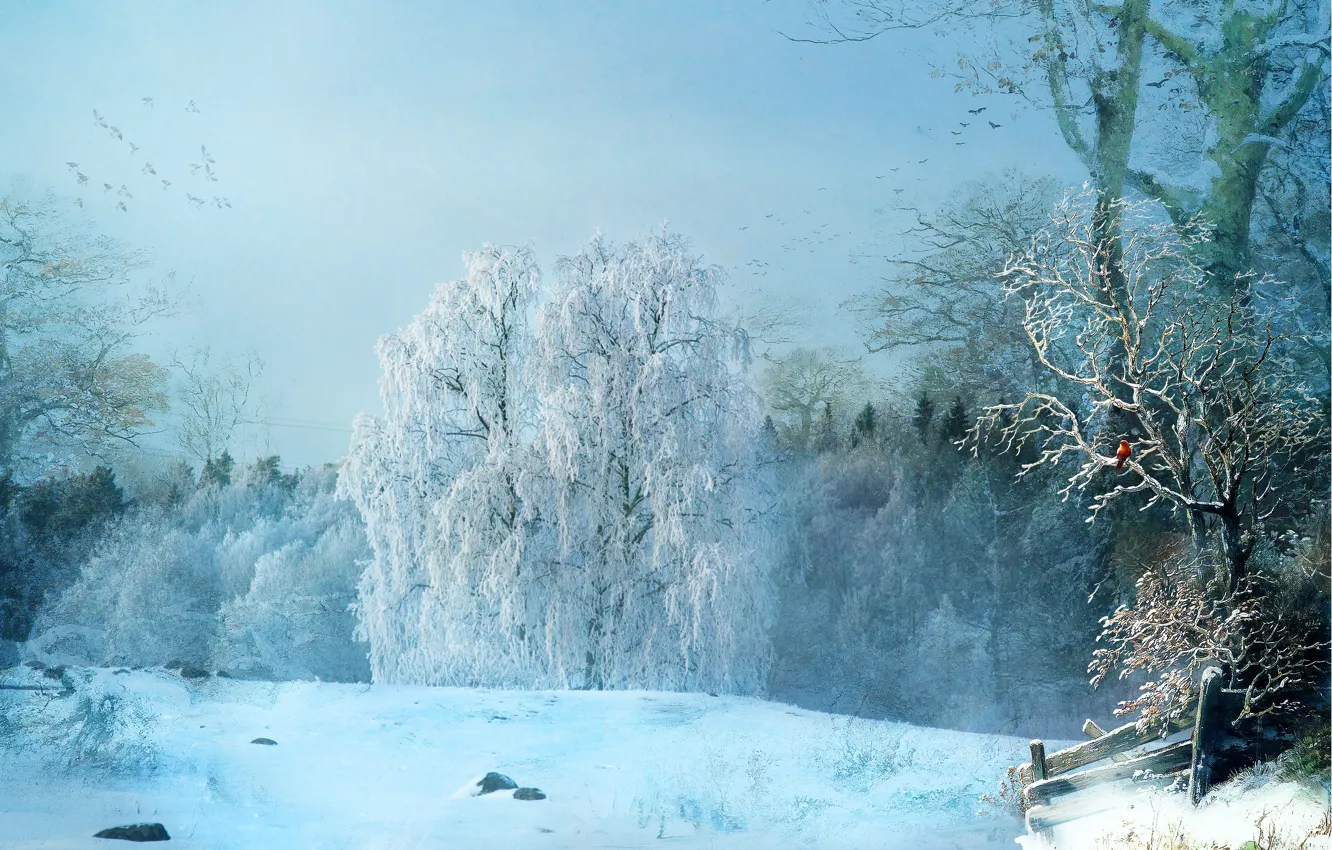 Photo wallpaper winter, forest, trees, rendering, bird, bird, snowy, photoart