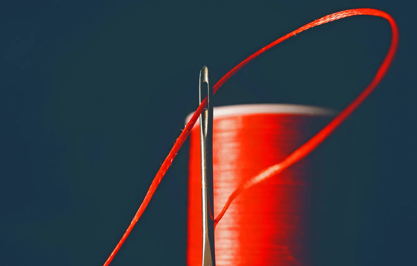 Photo wallpaper color, needle, thread