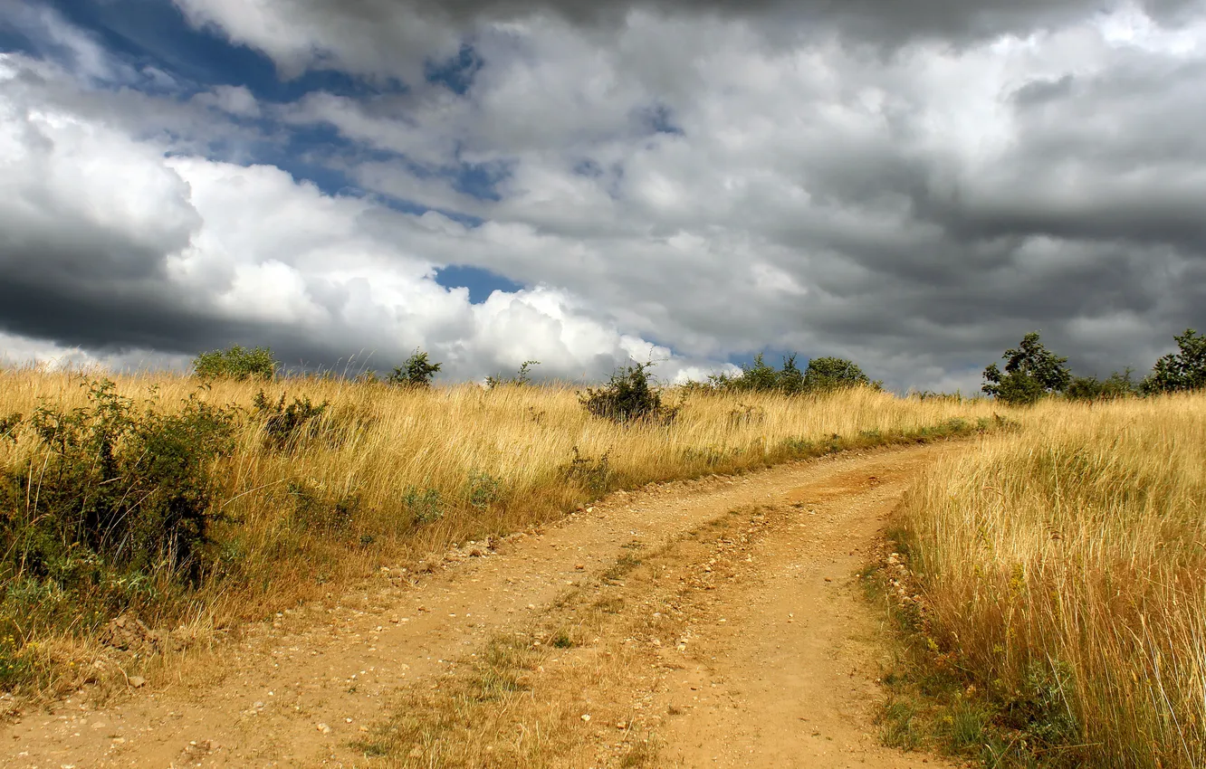 Photo wallpaper road, field, the sky, grass, clouds, clouds, dal, shrub