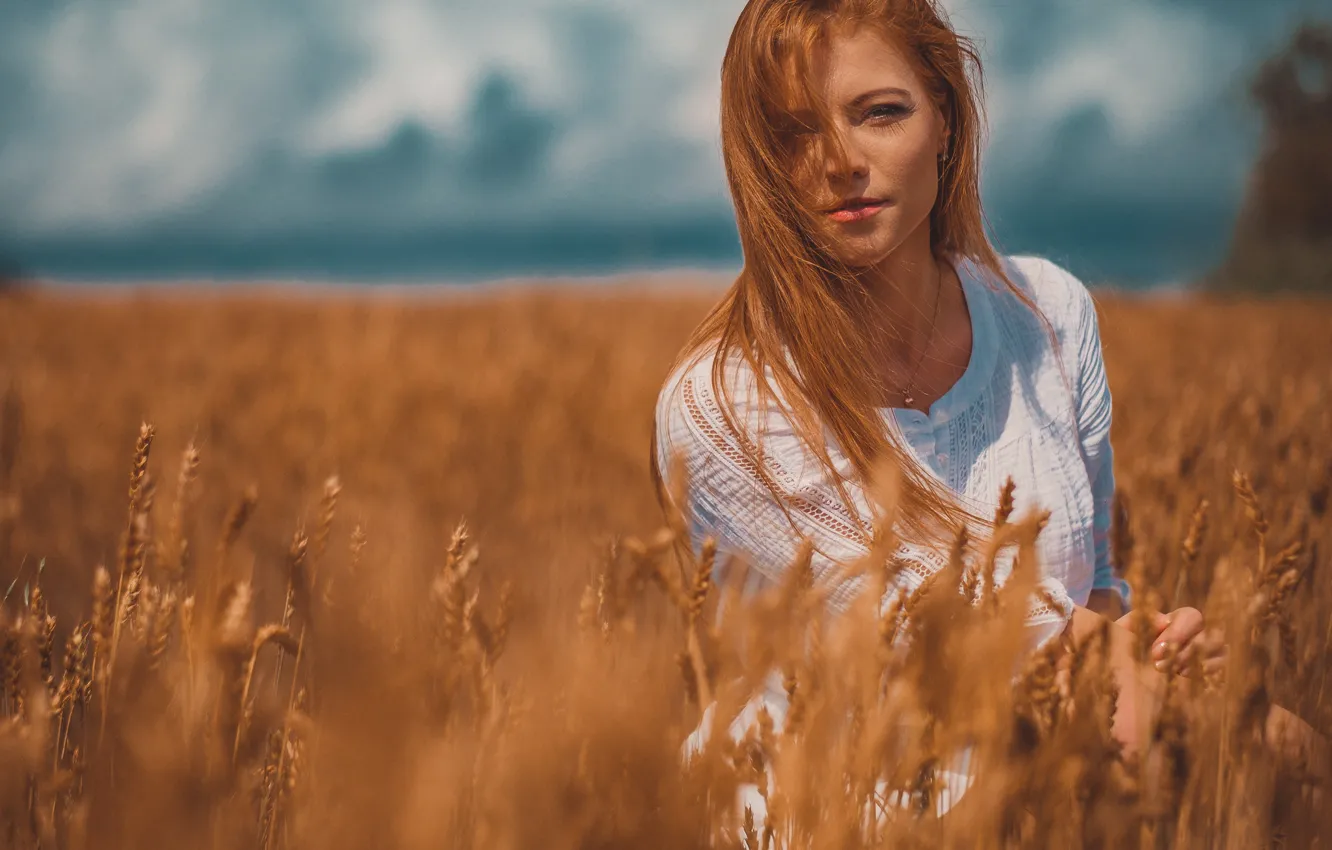Photo wallpaper field, look, ears, red, redhead, bokeh