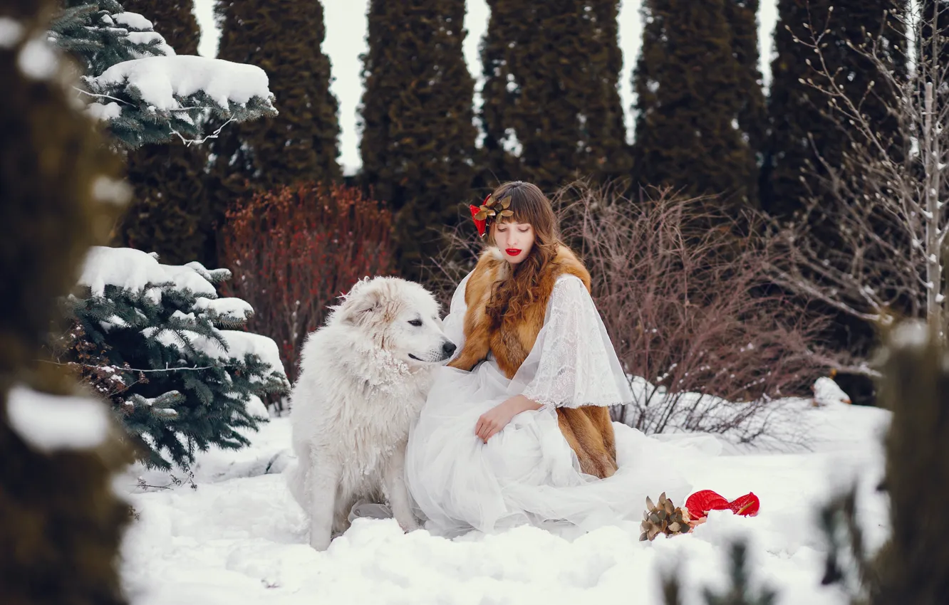 Photo wallpaper winter, forest, white, girl, snow, branches, pose, Park