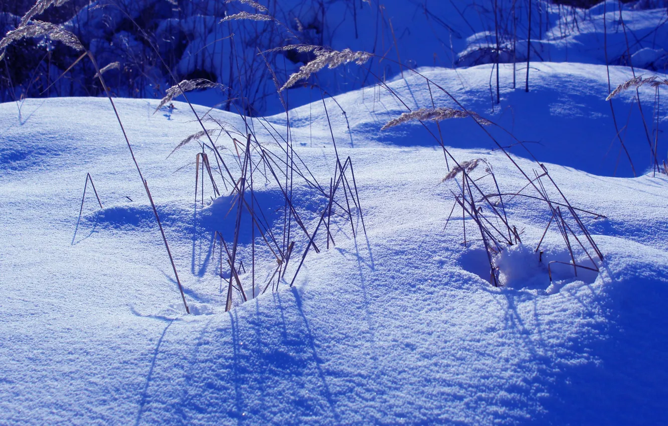 Photo wallpaper white, winter, snow, cold