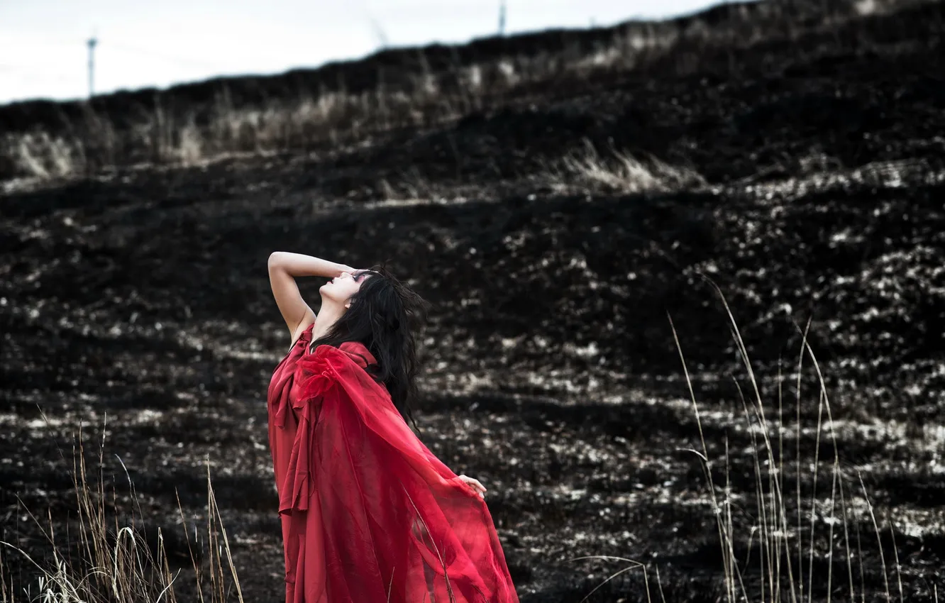 Photo wallpaper field, girl, mood