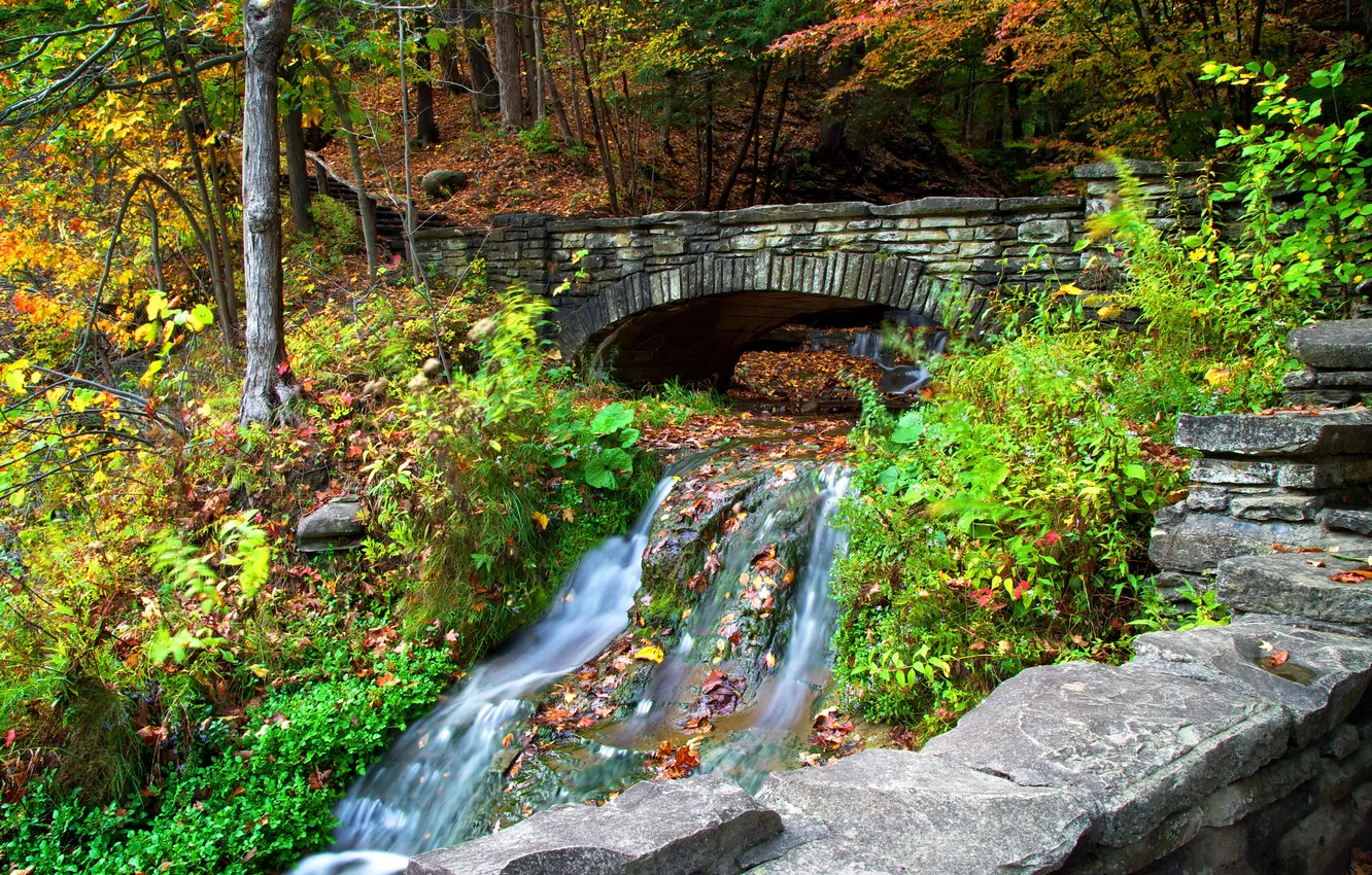 Photo wallpaper autumn, forest, leaves, trees, bridge, Park, river, stones