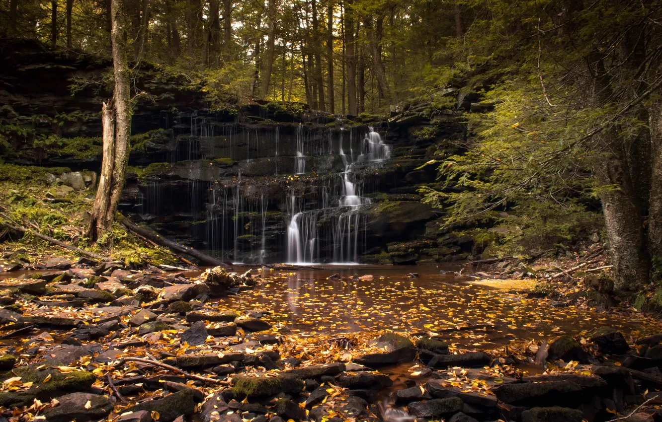 Photo wallpaper autumn, forest, river, waterfall