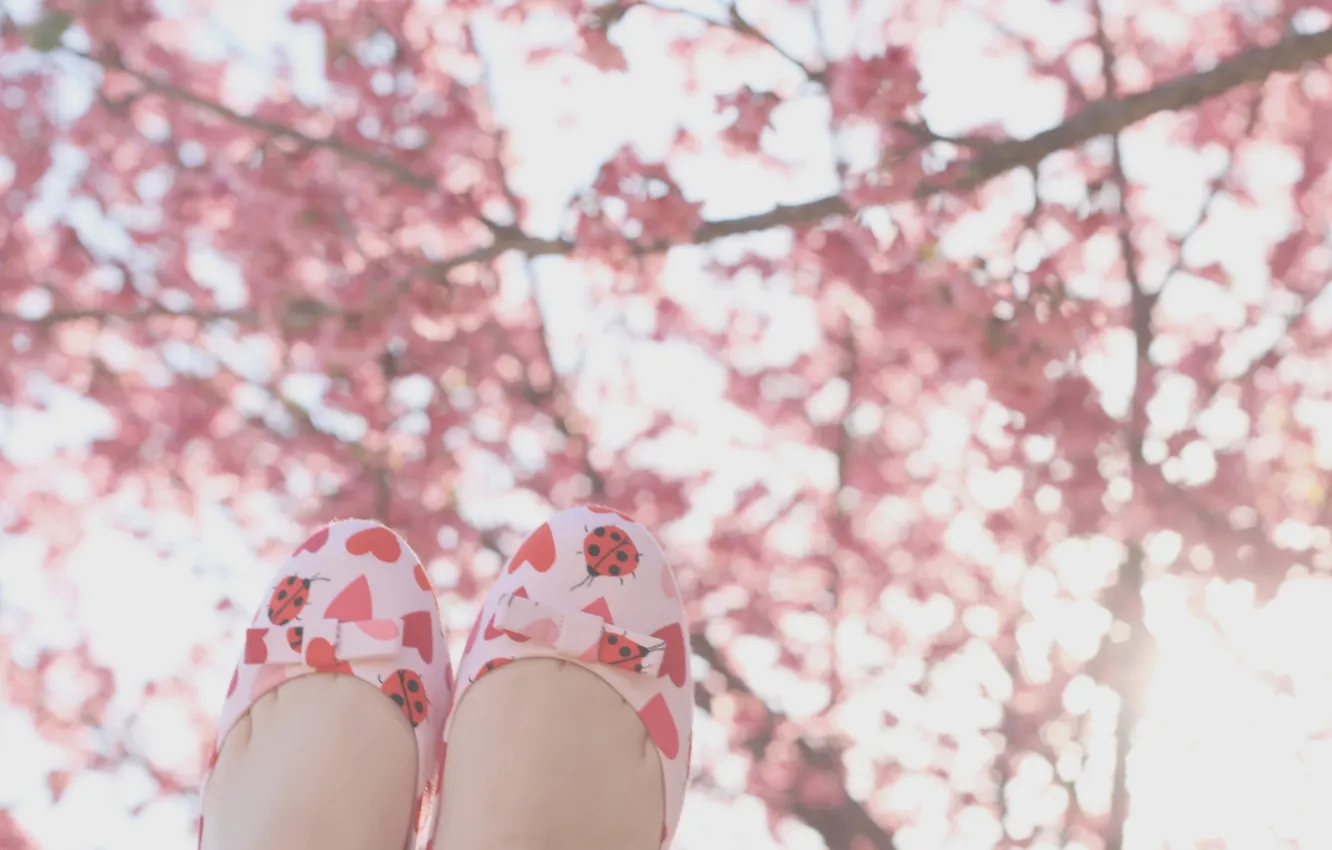 Photo wallpaper the sun, tree, feet, shoes