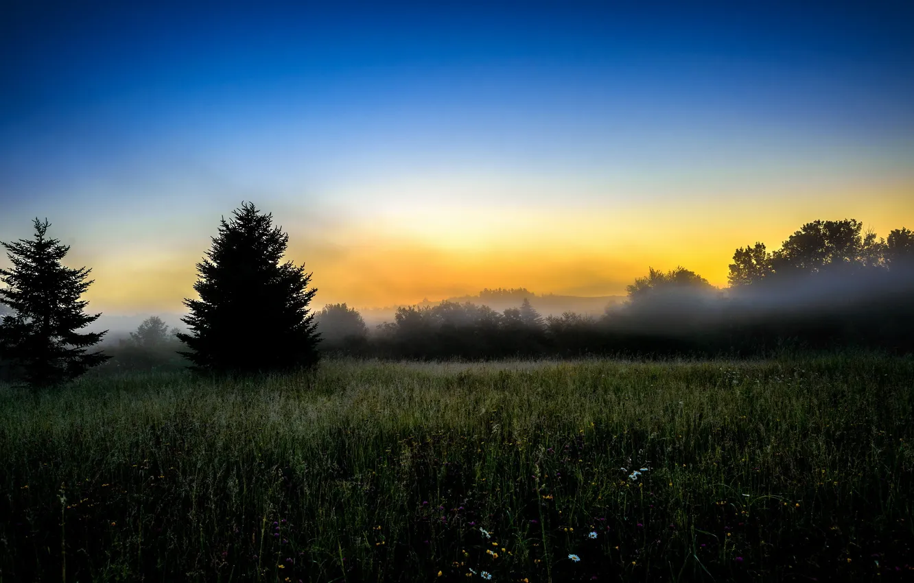 Photo wallpaper field, landscape, nature, fog, morning