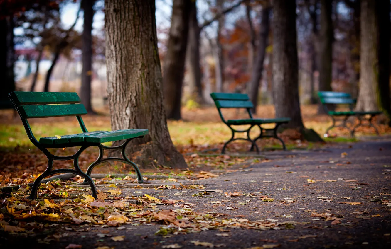 Photo wallpaper autumn, leaves, trees, Park, alley, bench
