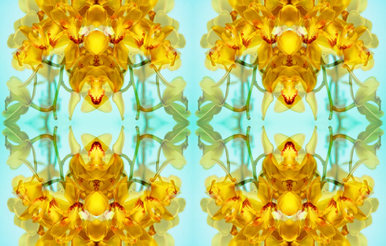 Photo wallpaper design, art, pattern
