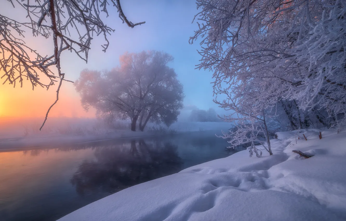 Photo wallpaper winter, snow, trees, river, Russia, The River Istra