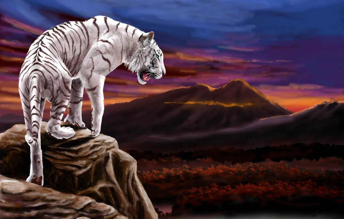 Photo wallpaper Tiger, Mountain, Clouds, Predator, Art, Wild cat, Big cat