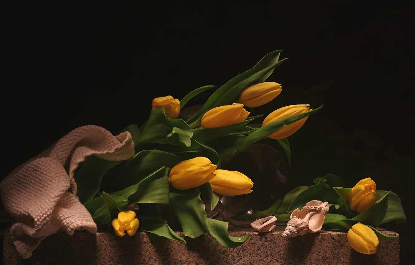 Photo wallpaper yellow, tulips, shell